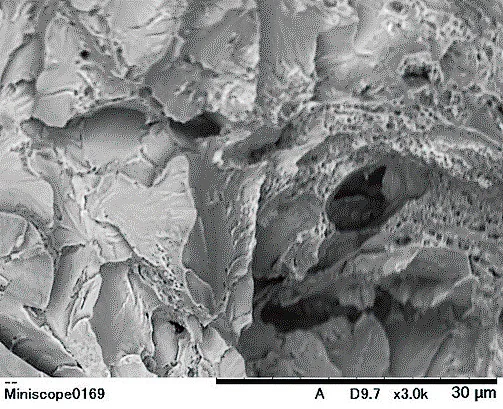 Scanning Electron Microscope